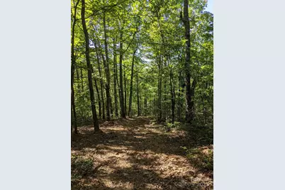 343 E Marshall Ridge Road, Hendersonville, NC 28792 - Photo 43