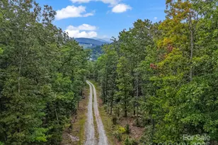 343 E Marshall Ridge Rd, Hendersonville, NC 28792 - Photo 35