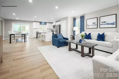 302 Maggys Way, Pageland, SC 29728 - Photo 3