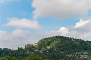 101 Fox Cove Rd, Hendersonville, NC 28792 - Photo 31