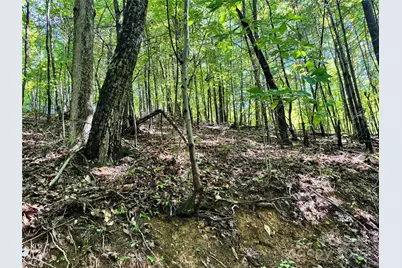 2252 Cutshall Town Road, Marshall, NC 28753 - Photo 35