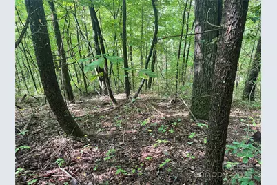 2252 Cutshall Town Road, Marshall, NC 28753 - Photo 15