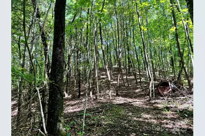 2252 Cutshall Town Road, Marshall, NC 28753 - Photo 33