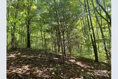 2252 Cutshall Town Road, Marshall, NC 28753 - Photo 13