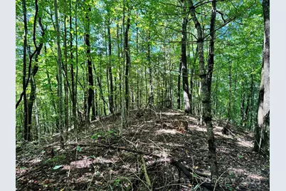 2252 Cutshall Town Road, Marshall, NC 28753 - Photo 39