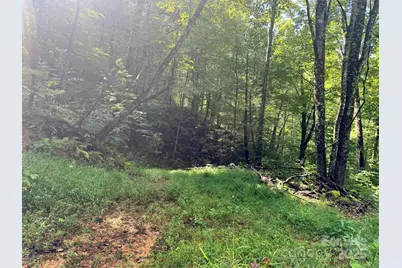 2252 Cutshall Town Road, Marshall, NC 28753 - Photo 5