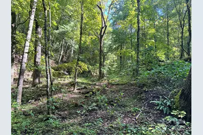 2252 Cutshall Town Road, Marshall, NC 28753 - Photo 21