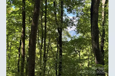 2252 Cutshall Town Road, Marshall, NC 28753 - Photo 37