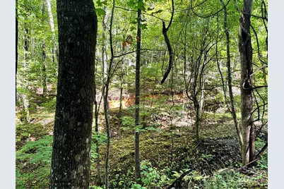 2252 Cutshall Town Road, Marshall, NC 28753 - Photo 29