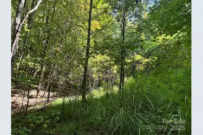 2252 Cutshall Town Road, Marshall, NC 28753 - Photo 25