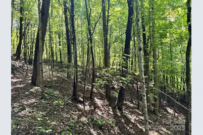 2252 Cutshall Town Road, Marshall, NC 28753 - Photo 27