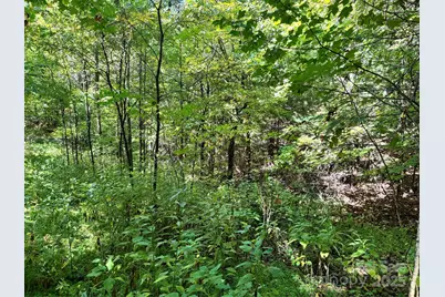 2252 Cutshall Town Road, Marshall, NC 28753 - Photo 17