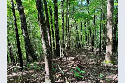 2252 Cutshall Town Road, Marshall, NC 28753 - Photo 31