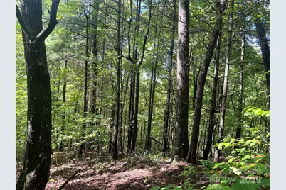 2252 Cutshall Town Road, Marshall, NC 28753 - Photo 11