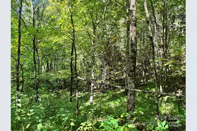 2252 Cutshall Town Road, Marshall, NC 28753 - Photo 23