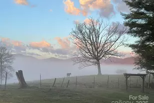 62 Douglas Dr, Leicester, NC 28748 - Photo 9