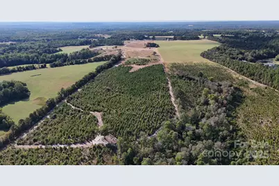 891 Longbranch Road, Jefferson, SC 29718 - Photo 9