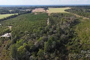 891 Longbranch Rd, Jefferson, SC 29718 - Photo 7