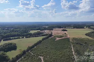 891 Longbranch Rd, Jefferson, SC 29718 - Photo 11