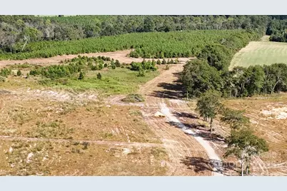 891 Longbranch Road, Jefferson, SC 29718 - Photo 3