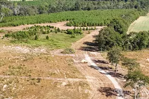 891 Longbranch Rd, Jefferson, SC 29718 - Photo 3