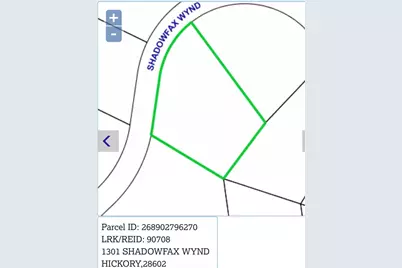 1301 Shadowfax Wynd None #51, Hickory, NC 28602 - Photo 11