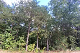 1301 Shadowfax Wynd None, Hickory, NC 28602 - Photo 1