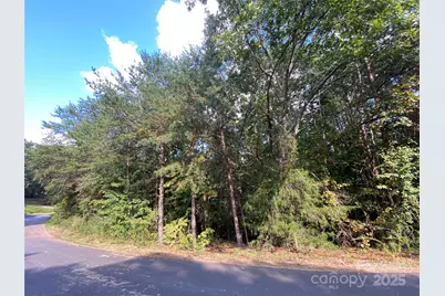 1301 Shadowfax Wynd None #51, Hickory, NC 28602 - Photo 3