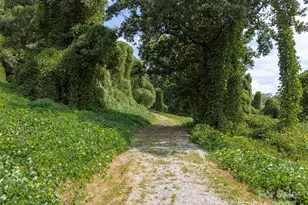 259 Roberts Rd, Blacksburg, SC 29702 - Photo 3