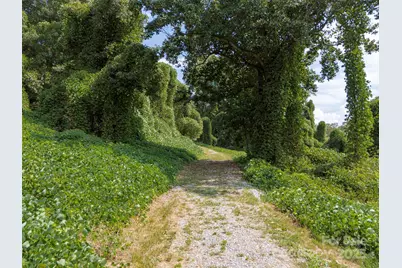 259 Roberts Road, Blacksburg, SC 29702 - Photo 3