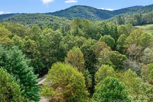 158 Dover Ln, Spruce Pine, NC 28777 - Photo 21