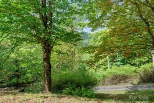 158 Dover Ln, Spruce Pine, NC 28777 - Photo 17