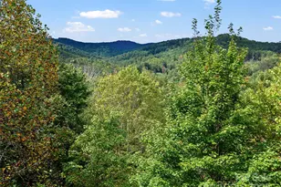 158 Dover Ln, Spruce Pine, NC 28777 - Photo 19