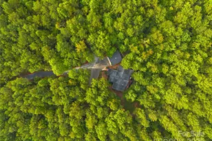 650 Mc Dowell Rd, Columbus, NC 28722 - Photo 47