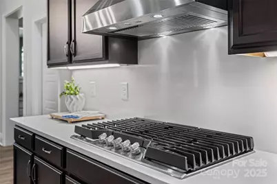 319 Inland Cove Court, Clover, SC 29710 - Photo 11