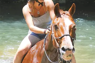 5684 Low Country Rd, Lenoir, NC 28645 - Photo 23