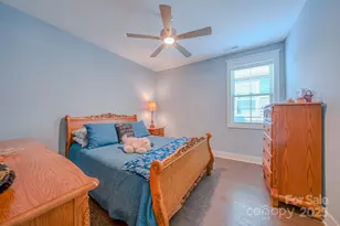 552 Sweet Birch Park Ln, Black Mountain, NC 28711 - Photo 29