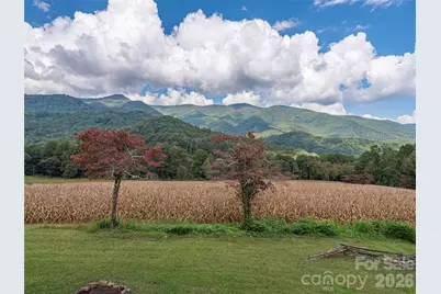 234 Sams Trail, Waynesville, NC 28786 - Photo 21