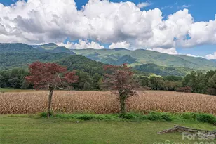 234 Sams Trail, Waynesville, NC 28786 - Photo 21