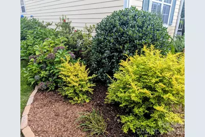 10 Cotton Creek Circle, Black Mountain, NC 28711 - Photo 47