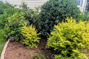 10 Cotton Creek Cir, Black Mountain, NC 28711 - Photo 47