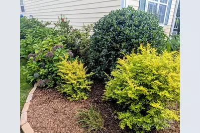 10 Cotton Creek Circle, Black Mountain, NC 28711 - Photo 45