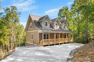 233 Arcadia Fls Wy, Black Mountain, NC 28711 - Photo 3