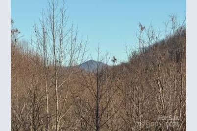 233 Arcadia Falls Way, Black Mountain, NC 28711 - Photo 5