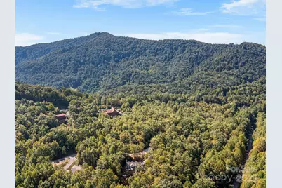 233 Arcadia Falls Way, Black Mountain, NC 28711 - Photo 41