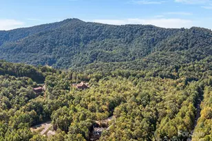 233 Arcadia Fls Wy, Black Mountain, NC 28711 - Photo 41