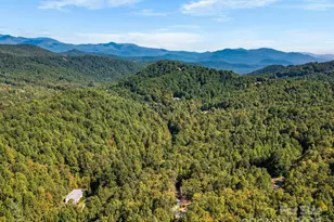 233 Arcadia Fls Wy, Black Mountain, NC 28711 - Photo 39