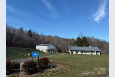 233 Arcadia Falls Way, Black Mountain, NC 28711 - Photo 9