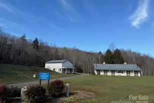 233 Arcadia Fls Wy, Black Mountain, NC 28711 - Photo 9