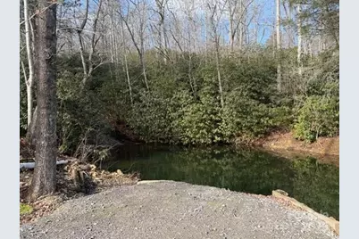 233 Arcadia Falls Way, Black Mountain, NC 28711 - Photo 7